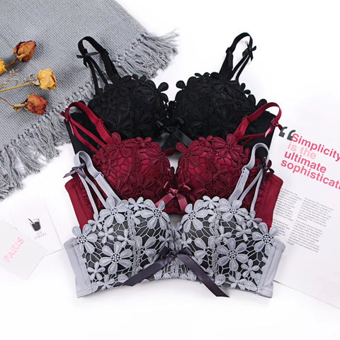 Lace Embroidered Bra & Panty Set